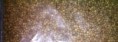 konope